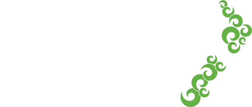 The Warehouse Group